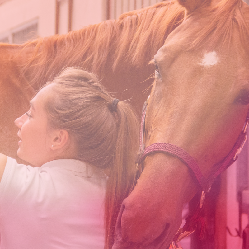 Girl resting her head against a horse at the barn